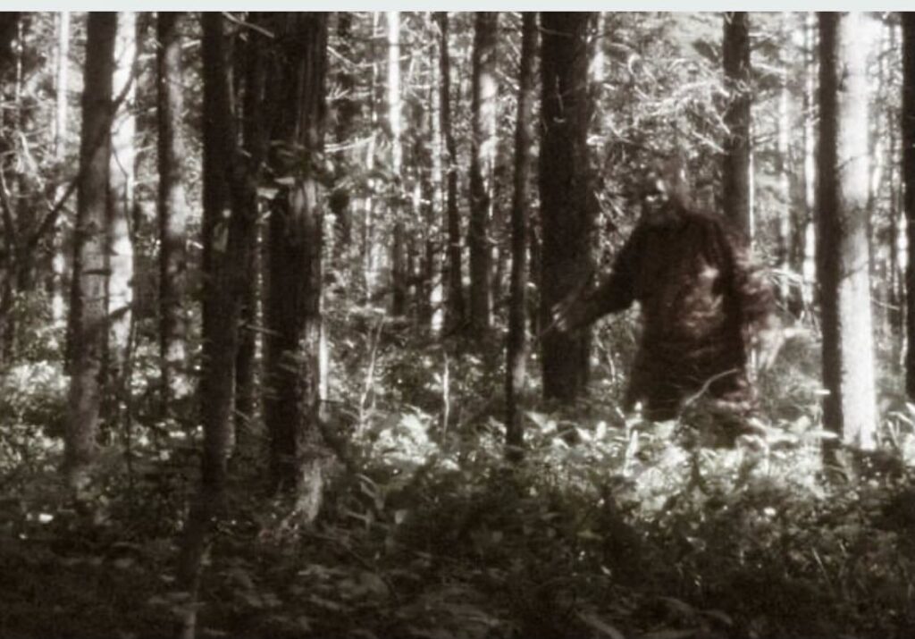 Bigfoot 2